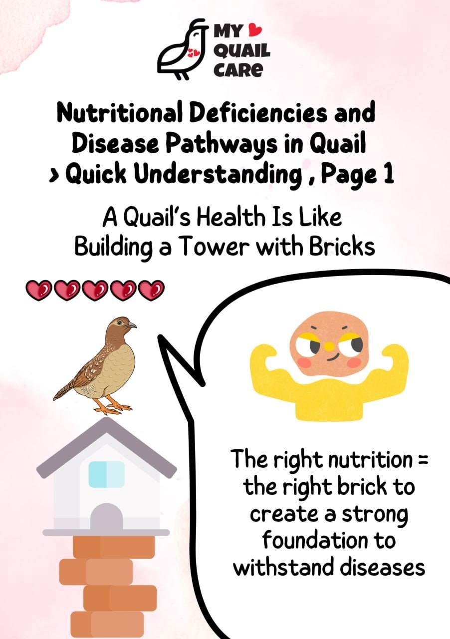 Quail Nutrition