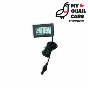 thermometer and sensor