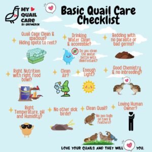 Basic Quail Care Checklist