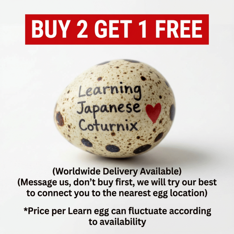Buy 2 Get 1 Free Learn Egg with terms