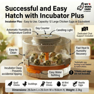 Incubator Plus _ MyQuailCare