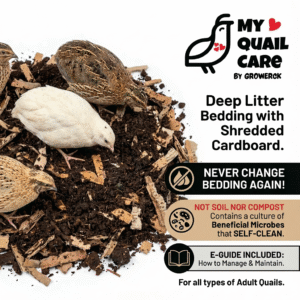 Deep Litter Bedding With Shredded Cardboard _ Not Soil or Compost