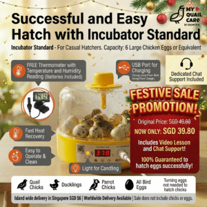 Festive Poster Advert for Incubator Standard
