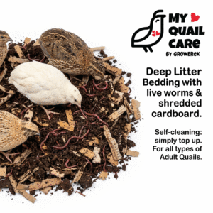 deep litter bedding with live worms and shredded cardboard