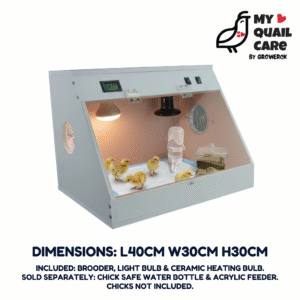 Quail Chick Brooder with Light Bulb And Ceramic Heater