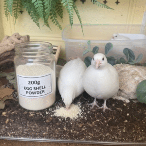 Egg Shell Powder for Pets | Egg Shell Powder for Quails | Egg shell powder for birds 5