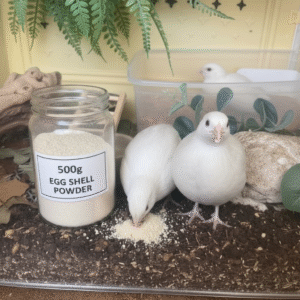 Egg Shell Powder for Pets | Egg Shell Powder for Quails | Egg shell powder for birds 8