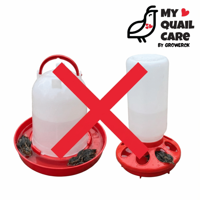 Quails dying in water bottles