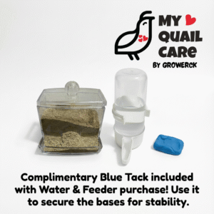 Water and feeder with blue tack