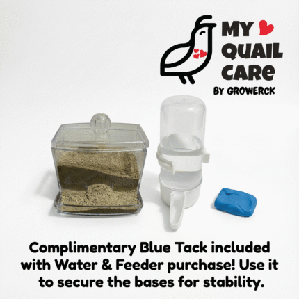 Water and feeder with blue tack