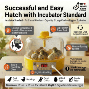 Incubator Standard with Candling Light