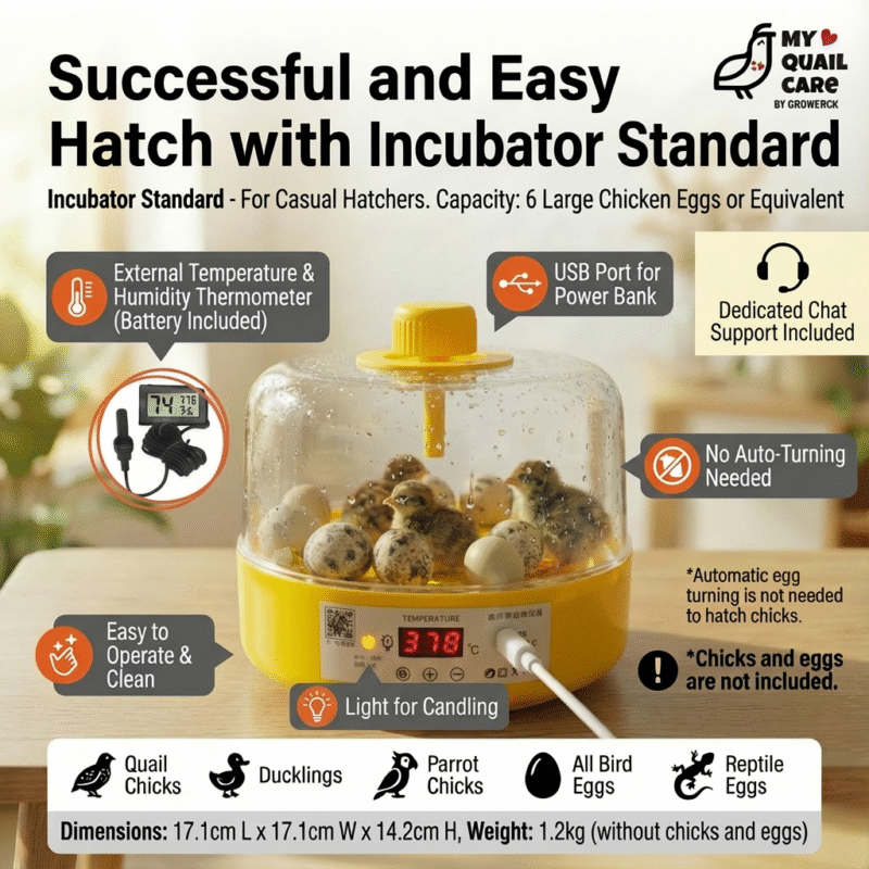 Incubator Standard with Candling Light