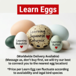 Learn Eggs