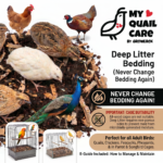 deep litter bedding for quail chicken parrots song bird