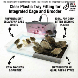 Clear Plastic Tray Fitting for Integrated Cage and Brooder Base