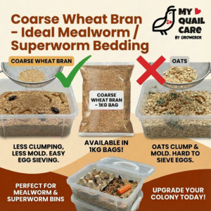 Coarse Wheat Bran - Ideal Mealworm - Superworm Bedding