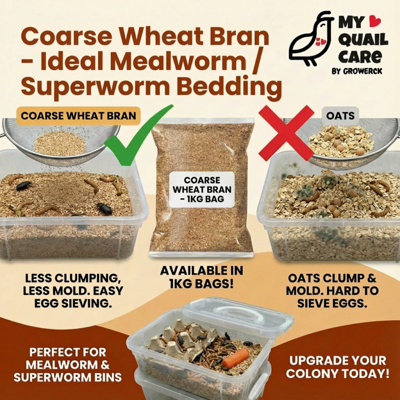 Coarse Wheat Bran - Ideal Mealworm - Superworm Bedding