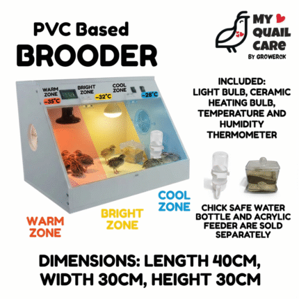 PVC Based Brooder Warm Cool Bright Zones