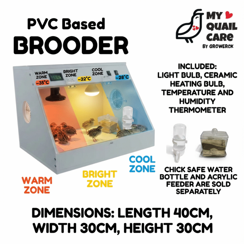 PVC Based Brooder Warm Cool Bright Zones