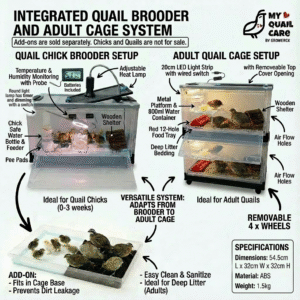 Integrated Brooder and Cage with Add On