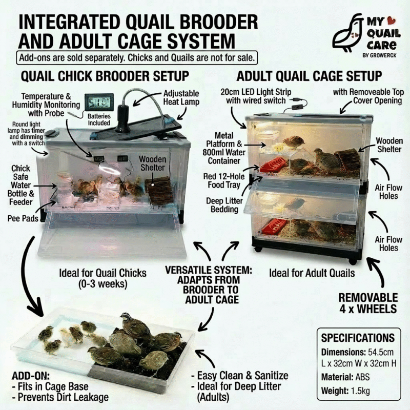 Integrated Brooder and Cage with Add On