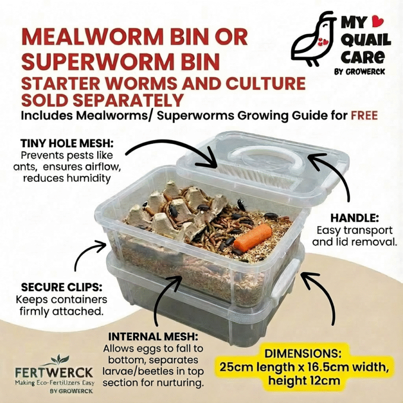 Mealworm Bin and Superworm Bin