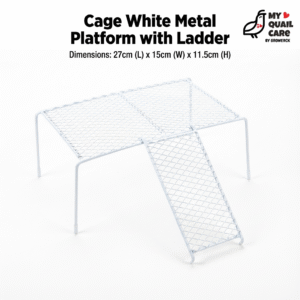Metal Cage Platform