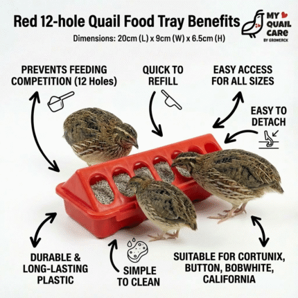 Red 12 hole Quail Food Tray easy wash