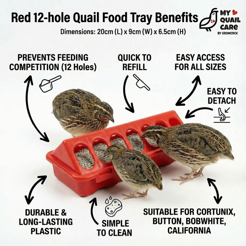 Red 12 hole Quail Food Tray easy wash