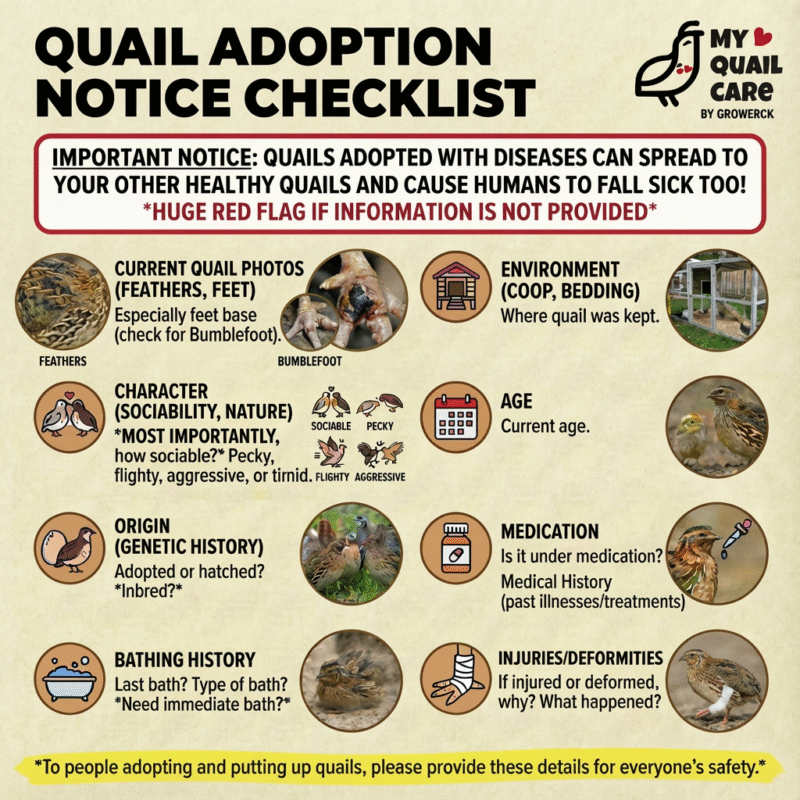 Quail Adoption Notice Checklist